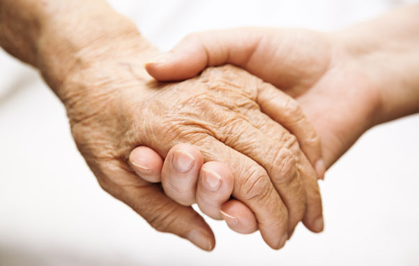 contact care agency essex